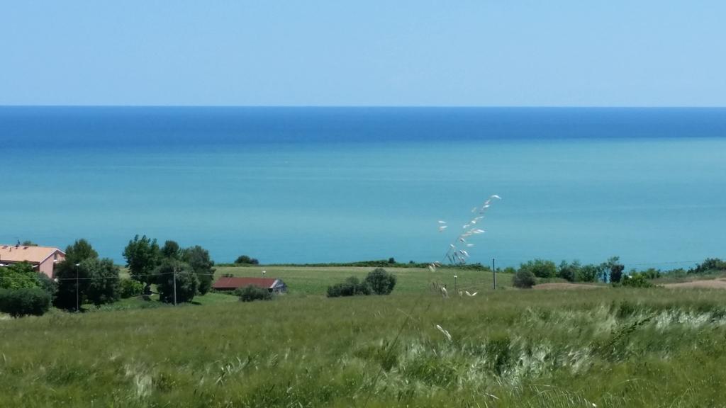 A Due Passi Dal Mare B&B 努马纳 外观 照片