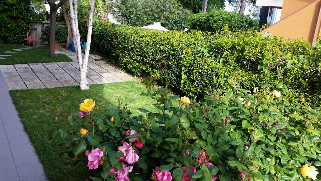 A Due Passi Dal Mare B&B 努马纳 外观 照片