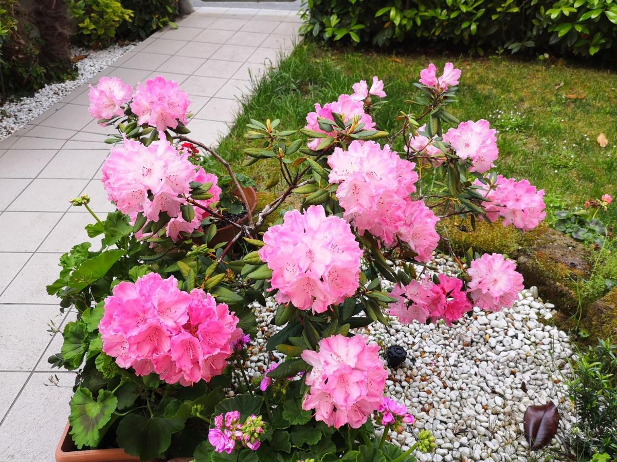 A Due Passi Dal Mare B&B 努马纳 外观 照片